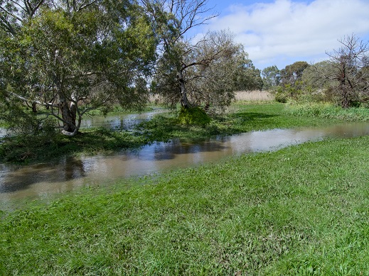 creek photo